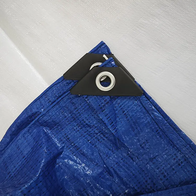 60g ब्लू पे टार्पुलिन