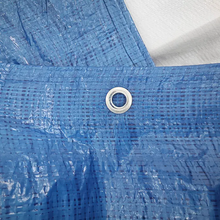 60g ब्लू पे टार्पुलिन