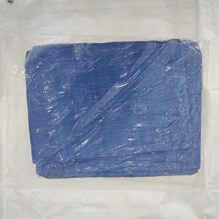 60g ब्लू पे टार्पुलिन