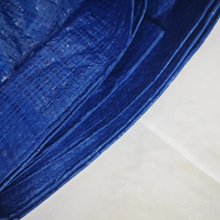 60g ब्लू पे टार्पुलिन