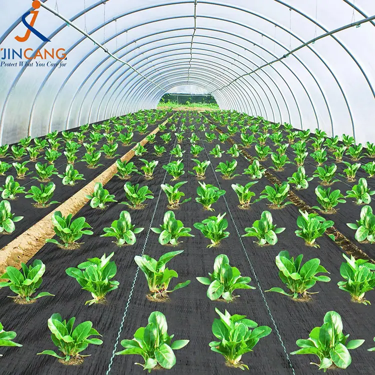 पीपी बुना हुआ खरपतवार चटाई