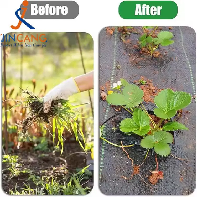 पीपी बुना हुआ खरपतवार चटाई